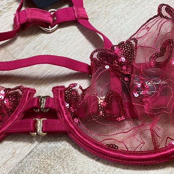 SOLDđź’—Honey Birdette Valentine's Day Juliet Hearts Bra and Panty Set - Picture 8 of 15